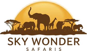 logo-image